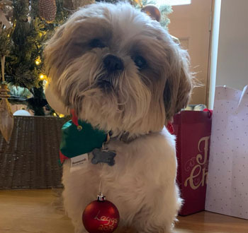 Sammy King Atkinson, December Employee of the Month Featured Image